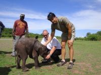 Moyo meeting his vet